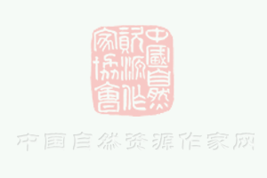 又一芯片企業(yè)發(fā)布5G芯片，中國(guó)手機(jī)芯片企業(yè)圍攻美國(guó)高通